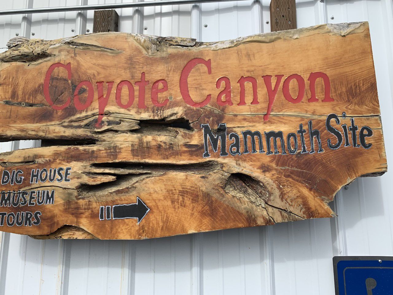 Researchers dig up Mammoth bones thousands of years old